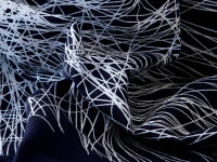 Baumwolltasche Furoshiki Tsuru, indigo, 100 cm Baumwolltasche Furoshiki Tsuru, Indigo, 100 Cm -Geschäft Für Heimgeschirr baumwolltasche furoshiki tsuru indigo 100 cm5