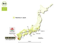 KEIKO Matcha Mantoku, Dose, 30 g KEIKO Matcha Mantoku, Dose, 30 G -Geschäft Für Heimgeschirr keiko matcha mantoku dose 30 g4