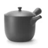Kyusu Tokoname Chanoma M, 360 Ml