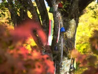 Windspiel, Furin Hamon Orange Windspiel, Furin Hamon Orange -Geschäft Für Heimgeschirr windspiel furin hamon orange6